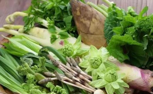 春天養(yǎng)肝護(hù)肝最好的季節(jié) 要想養(yǎng)肝避免這種傷肝行為