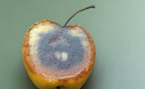 染發(fā)會(huì)不會(huì)危害健康？3種易致癌的行為應(yīng)立即停止