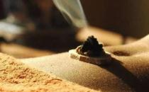 肚臍與健康的關系 保養肚臍可助長壽