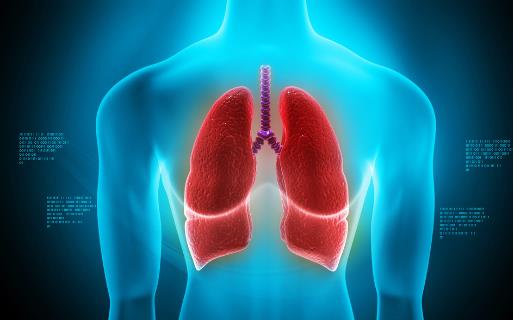 身體器官有哪些弱點?一一揭秘6大器官的弱點