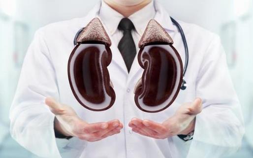 腎好的人,都有這幾個(gè)特征,牢記三個(gè)養(yǎng)腎方,腎一天比一