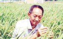 雜交與轉基因的區別 轉基因食品鑒別小妙招