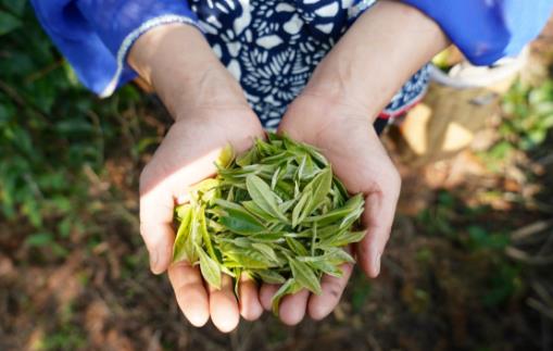 學會食品保鮮,食用健康還省錢