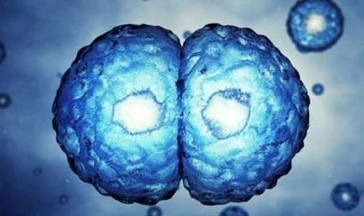 平時不痛不癢,一查癌癥就是晚期?醫生奉勸:7類人需定期