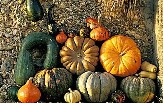 趁熱吃帶來的健康危機(jī) 推薦12大頂級抗癌食物