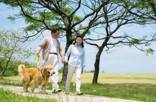 養狗人士的運動量達標率會偏高 帶著狗狗運動的好處