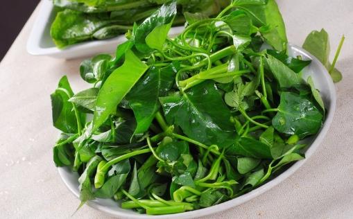 空心菜用油炒過后顏色發黑,這是“有毒物質”嗎?營養師