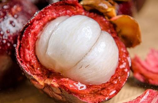 買山竹時，別再傻傻只會看瓣數，看準這“3點”，保證新鮮