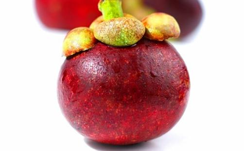 買山竹時，別再傻傻只會看瓣數，看準這“3點”，保證新鮮