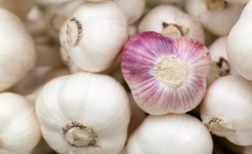 大蒜放久之后腐爛、發(fā)芽不能吃,教你一招,讓大蒜3個(gè)月不