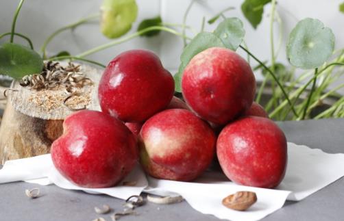 桃子是“肺之果”,可爛了一點的桃子還能不能吃?這種情