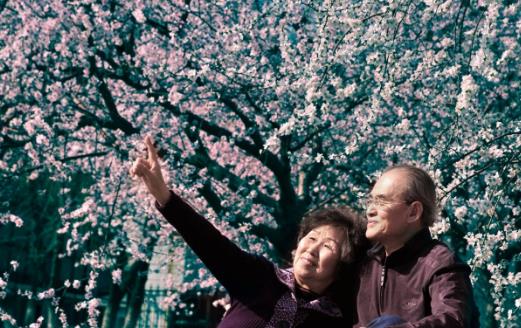 提高老人幸福感 經(jīng)常聚會(huì)的老人幸福感更強(qiáng)