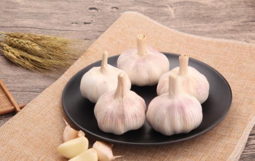 大蒜怎么搭配功效好 九種搭配方法學起來