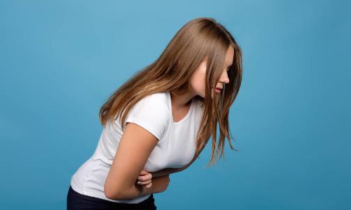 可以養胃的花茶大全 教你緩解胃痛的小妙招