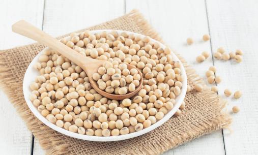 食物營養冠軍榜是時候該收藏了 營養最豐富的食物