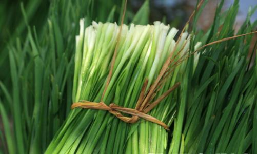 淤血體質調理食物有效祛瘀