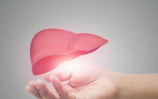 養肝小錦囊適合日常調理 養肝護肝6道食療粥