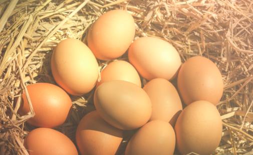 雞蛋雖好不可亂吃 吃完雞蛋后千萬別吃的食物