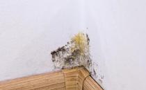 墻壁發霉幫你趕走頑固霉斑 日常簡易處理小竅門