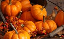 南瓜的營(yíng)養(yǎng)價(jià)值 南瓜粥適合脾胃虛弱營(yíng)養(yǎng)不良的人