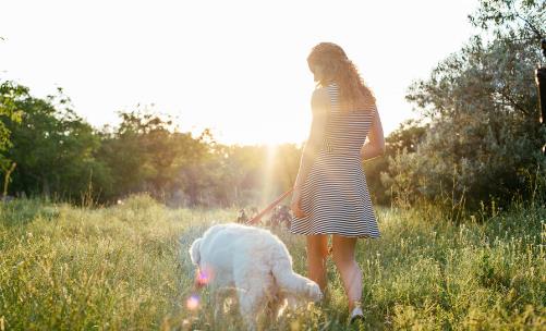 使用電腦易脫發(fā) 導(dǎo)致脫發(fā)的6個壞習(xí)慣