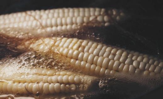 夏天飲食該進補 營養師推薦美味解暑湯