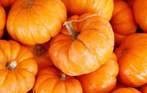 通過飲食改善氣血不足 十大補血補氣的食物