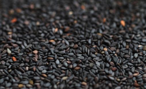 白發生長位置標志著臟腑健康 前額白發多為脾胃失調