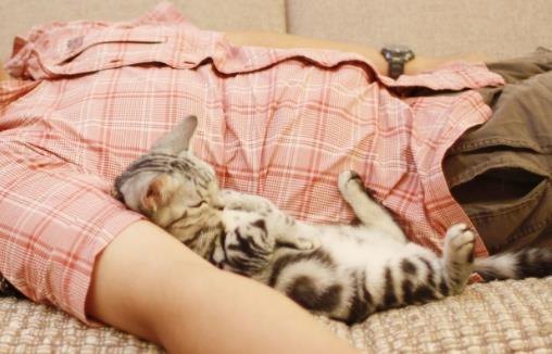 午睡的八大好處 合理的午睡才能達到最好的休息效果