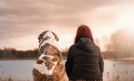 靜坐冥想更有益健康 能減輕生活的壓力
