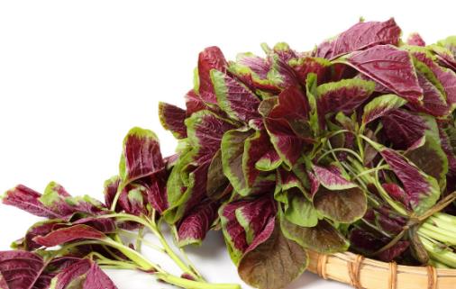 適合高血壓患者的食物 降血壓的注意事項(xiàng)