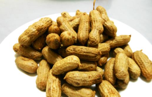 腎氣不足 秋季補(bǔ)腎應(yīng)多吃這10種食物