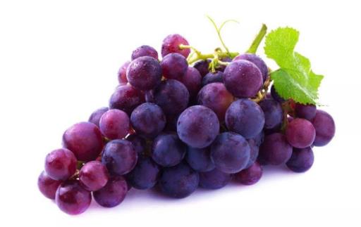 水果營養(yǎng)豐富 10種不同功效的水果