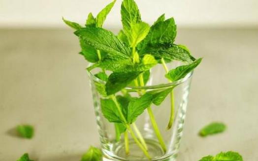 老人護(hù)牙必須知道的7個誤區(qū) 能保護(hù)牙齒的9種食物