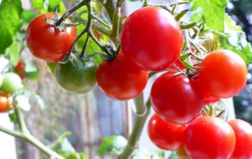 減肥總是失敗 掌握5種減肥小技巧輕松瘦身