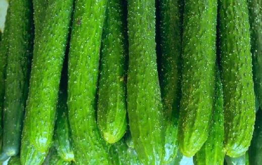 多余的熱量轉換成脂肪 可以被你吃掉脂肪的減肥食譜