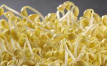 蔬菜有最佳的瘦身功效 美容美體的超級食品