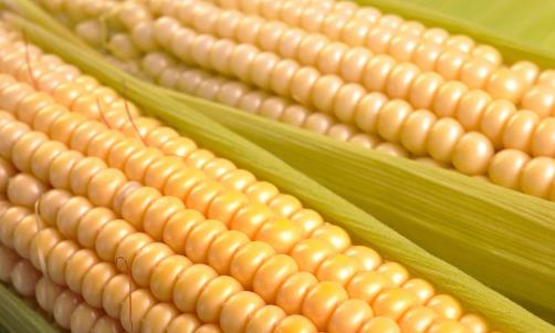 睡前做好這5點(diǎn) 睡眠質(zhì)量不會(huì)太低 還能快速入眠