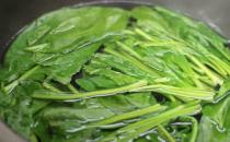 菠菜熬水的功效與作用 能補血也能滋養肌膚