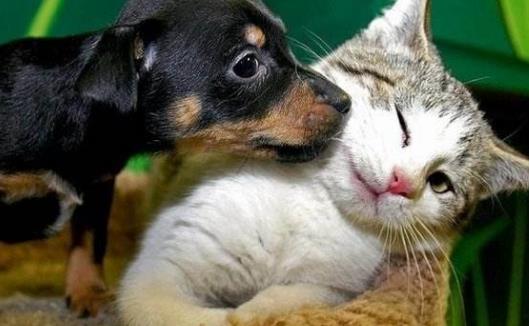 關注孩子健康 導致胎兒畸形的8大因素