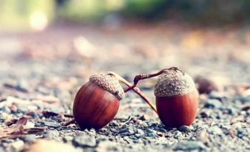 離婚率再婚非常普遍 導致夫妻離婚的8大原因