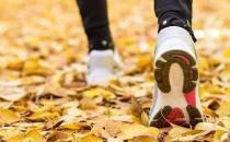 ?上班族秋季養(yǎng)生小常識 白領(lǐng)人士首選食補(bǔ)方案