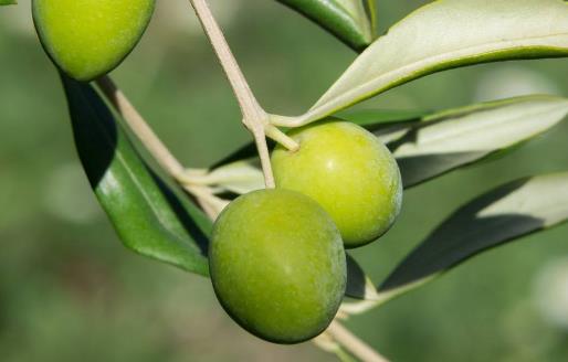 緩解暈車的八個小偏方 讓你更好的享受旅途