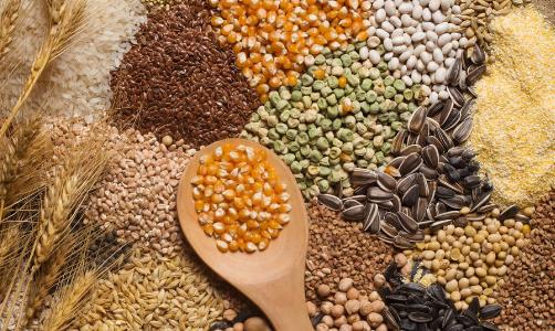 少吃精米白面,全谷物怎么吃才美味又健康