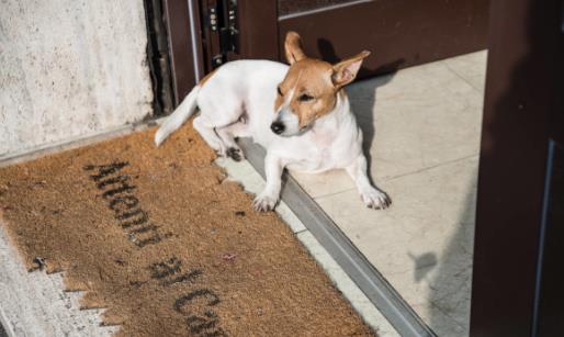 細(xì)菌入侵危害身體 十大容易出現(xiàn)細(xì)菌的地方