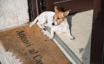 ?細菌入侵危害身體 十大容易出現細菌的地方 