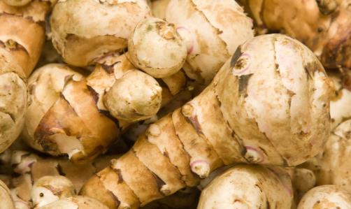 紫色洋姜與白色洋姜的區別 洋姜簡單美味下飯的做法