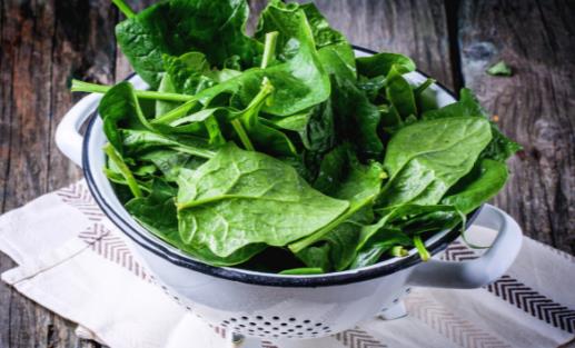 公認減脂效果最好的十四種食物 推薦在減肥期間食用