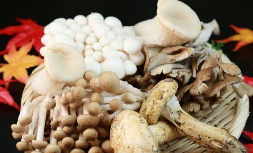 冬天吃減肥最有效的食物 冬季減肥飲食誤區