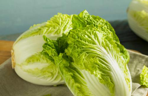 挑選大白菜時菜葉上長了小黑點(diǎn) 這樣的白菜能不能吃
